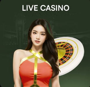 金刚游戏手机版